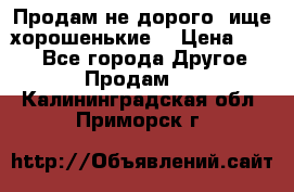 Продам не дорого ,ище хорошенькие  › Цена ­ 100 - Все города Другое » Продам   . Калининградская обл.,Приморск г.